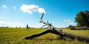 Aufräumarbeiten nach Unwetter, blauer Himmel