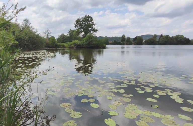 Abtauchen für die Natur