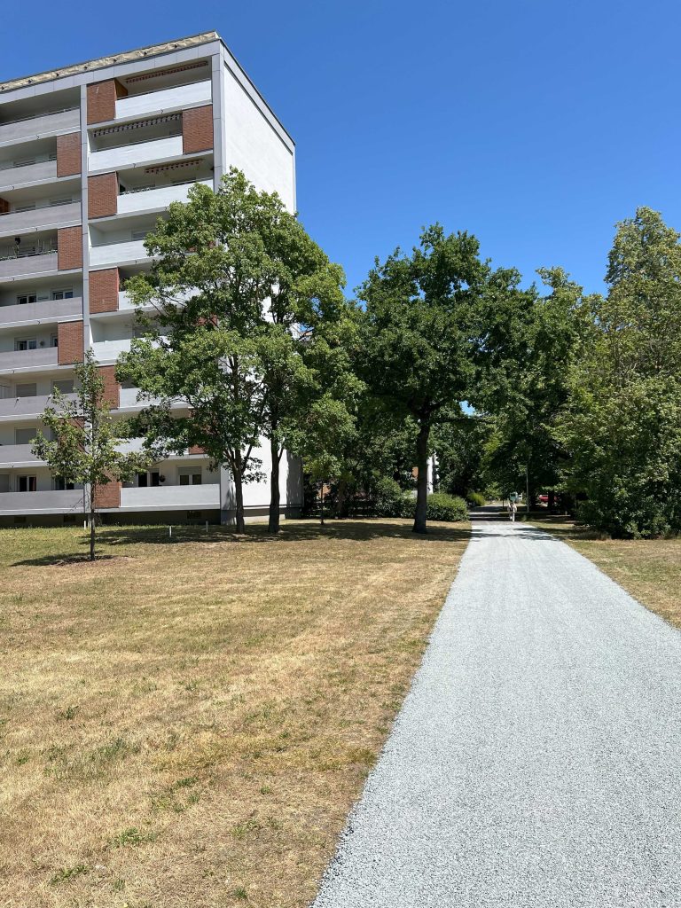Neuer „Schotter-Asphalt“ macht Bambergs Wege blitzschnell fit