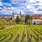 Bunte Trinket-Boxen erobern Bamberg: Ein neuer Sammeltrend