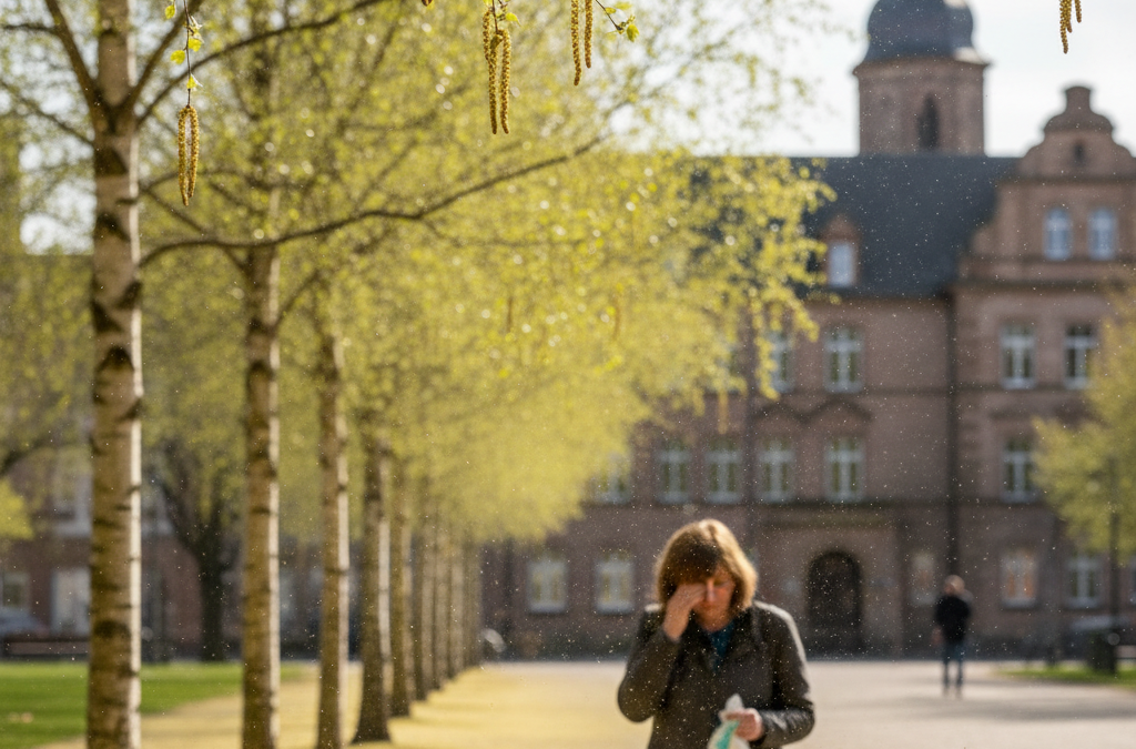 Aktuelle Pollenbelastung in Deutschland: Herausforderungen für Allergiker
