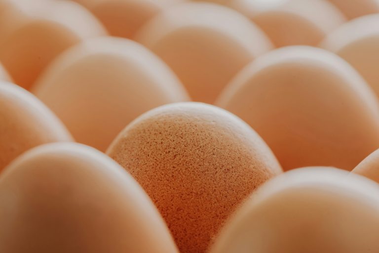 Eier sollen vor Demenz schützen, doch Studie hat Haken