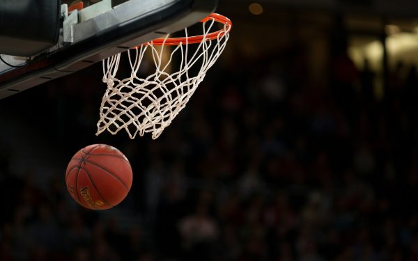 Bamberg trifft im Playoff-Kracher auf ALBA Berlin: Alles auf eine Karte!
