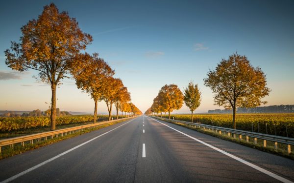 Biesenthal: Unfall mit schwerwiegenden Folgen – vier Jugendliche sterben auf Mopeds