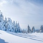 Kälteimpuls durch Polarwirbel: Spannungen für Deutschland im Spätwinter