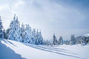 Kälteimpuls durch Polarwirbel: Spannungen für Deutschland im Spätwinter