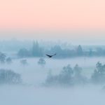 Kälteeinbruch mit Frostgefahr: Deutschland bereitet sich auf drastische Temperatursenkung vor