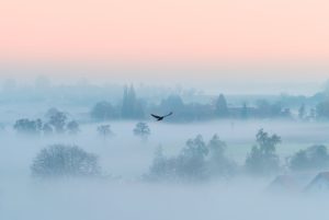 Kälteeinbruch mit Frostgefahr: Deutschland bereitet sich auf drastische Temperatursenkung vor