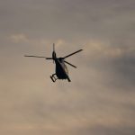 Nachtsuche in München: Spezialtechnik bringt keine Hinweise auf gesichteten Puma
