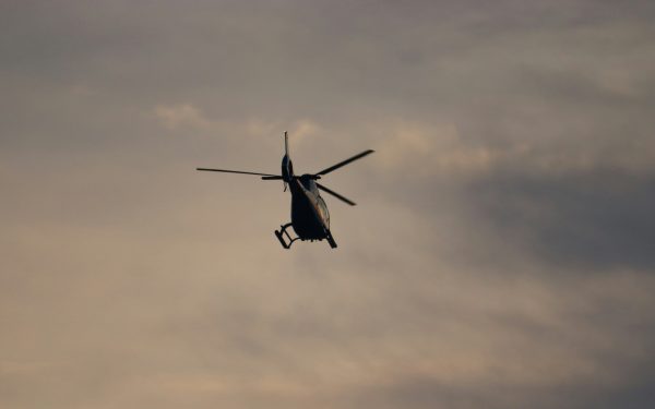 Nachtsuche in München: Spezialtechnik bringt keine Hinweise auf gesichteten Puma